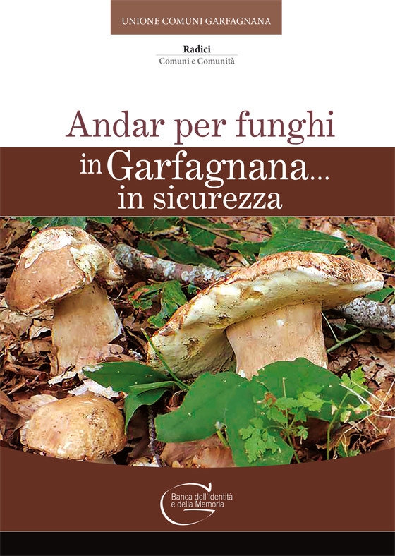 Andar per funghi in Garfagnana… in sicurezza