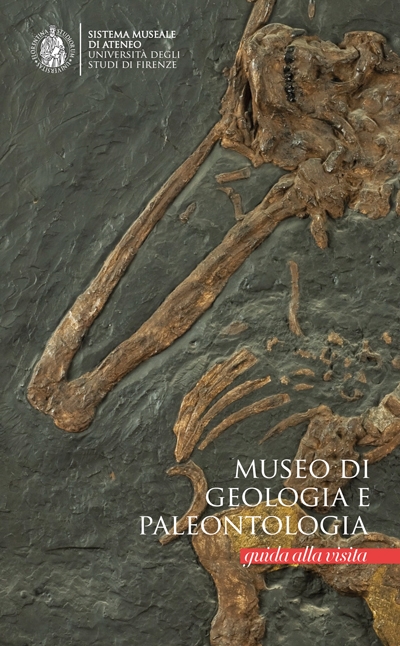 Museo di Geologia e Paleontologia. Guida alla visita