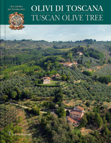 Olivi di Toscana / Tuscan Olive Tree