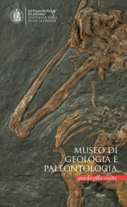 Museo di Geologia e Paleontologia. Guida alla visita