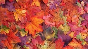Come le foglie d'autunno